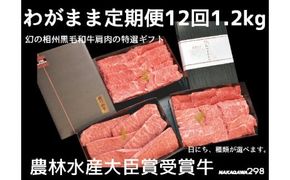 39-1446　わがまま定期便　 幻の相州黒毛和牛肩肉 1.2kg 年に12回お届け！