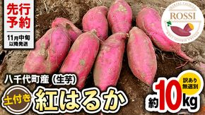 【 先行予約 2024年11月中旬以降発送 】訳あり 茨城 八千代町産 さつまいも 紅はるか 生芋 土付き 無選別 約 10kg 長期熟成 べにはるか いも イモ 芋 おやつ デザート 秋 旬 農家直送 NONAKA HIROSHI FARM [AX032ya]