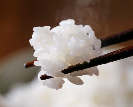【期間限定発送】 米 令和8年 コシヒカリ 10kg 白米 [農家にしの 石川県 宝達志水町 38601172] こしひかり お米 おこめ こめ コメ 精米 ごはん ご飯 令和8年産 新米