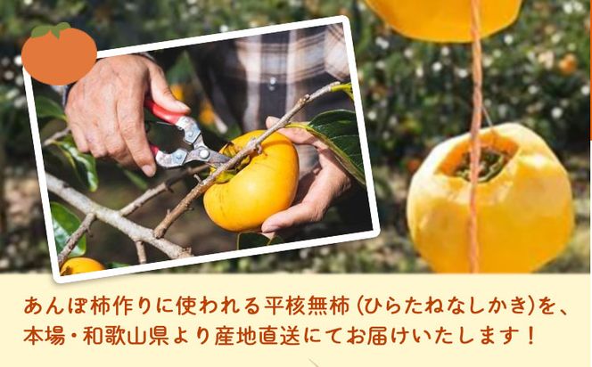 【2026年先行予約】T字枝付つるし柿用生渋柿 4.5～5kg ふるさと農園《10月中旬-11月上旬頃出荷予定》---wsh_fst4_p1011_23_20000_5kg---