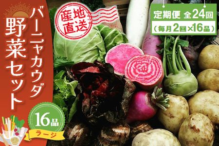 年間定期便24回 バーニャカウダ野菜セットラージ 16品 【有機野菜 おまかせ野菜セット イタリア野菜 西洋野菜 定期便】(H078123)