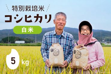 特別栽培米 コシヒカリ 白米 5kg×1 [農家にしの 石川県 宝達志水町 38600595] 米 お米 ご飯 ごはん