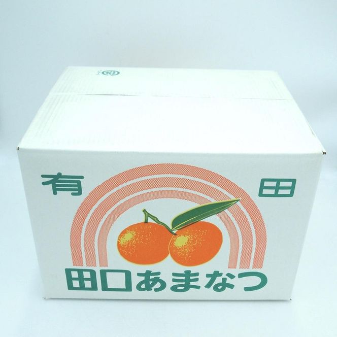 和歌山県産 田口の甘夏 秀品 10キロ 2Ｌ～3Ｌ（約23～21玉