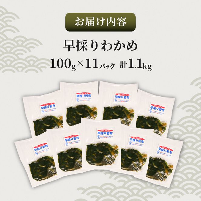 三陸産 早採りわかめ 100g×11パック 計1.1kg 冷凍 小分け [nomura034]