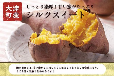 【早期予約】熊本県大津町産 タカハマ観光農園のシルクスイート 約5kg《2026年1月上旬-4月末頃出荷》 さつまいも 芋 スイートポテト 干し芋にも---so_tkhmslk_af14_r7_9000_5kg---