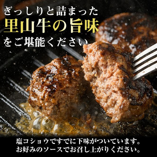 国産黒毛和牛 牧草育ちの里山牛100%使用！手作りハンバーグ 1kg (100g×10個）a5-276