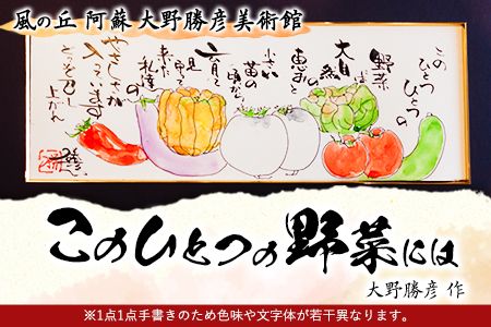 大野勝彦 短冊額『このひとつの野菜には』野菜 風の丘阿蘇大野勝彦美術館《60日以内に出荷予定(土日祝を除く)》美術館 詩---sms_okmtzg3_60d_r7_167000_1p---