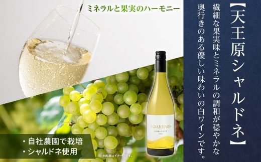 《無地熨斗 対応可》YOAKENO 白ワイン（天王原シャルドネ・信濃リースリング） 飲み比べ 各1本 計2本 177-4-075