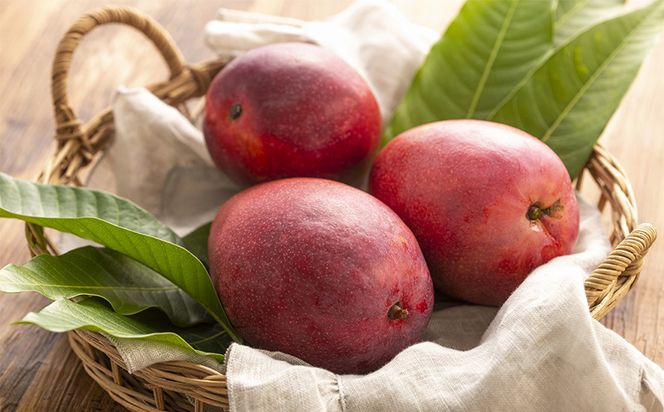 yꌧdzyϔzystE2026Nznt@[ }S[ 2kg - s\ ꌧY Yn 썑t[c {̖o G߂̉ʕ 蕨 Mtg ꌧ d