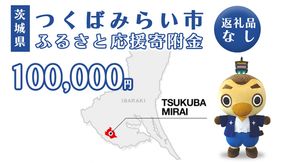 【 返礼品なし 】 茨城県 つくばみらい市 ふるさと応援寄附金 （ 100,000円 ) [BH20-NT]