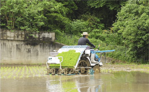 令和5年産 元気つくし 5kg×2袋 計10kg お米 精米