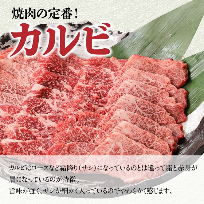 宮崎牛カルビ焼肉 500g　N0140-ZA0206