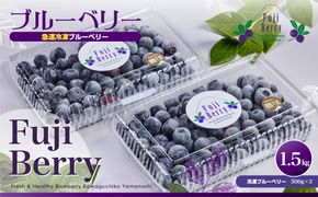 Fuji Berry 急速冷凍ブルーベリー1.5kg FAZ109