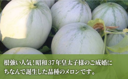 【2025年4月下旬～発送】【豪華！3回 定期便 】プリンスメロン タカミメロン 温州みかん（3品種各1回）/ メロン みかん フルーツ 詰め合わせ 南島原市 / 南島原果物屋 [SCV003]