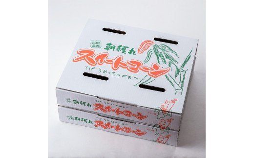 【令和8年発送】宮崎県産とうもろこし　朝どれ！守部さんちのゴールドラッシュ5kg 【 とうもろこし スイートコーン トウモロコシ スィートコーン 令和8年発送 】 [C06408]