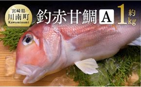 『釣赤甘鯛 Ａ』　魚 魚介類 [G4405]