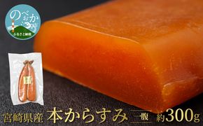 宮崎県産本からすみ 一腹 約300g　N027-YZE050