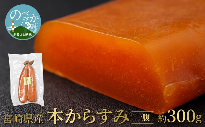 y{茧sz{茧Y{炷 ꕠ 300g@N027-YG0215