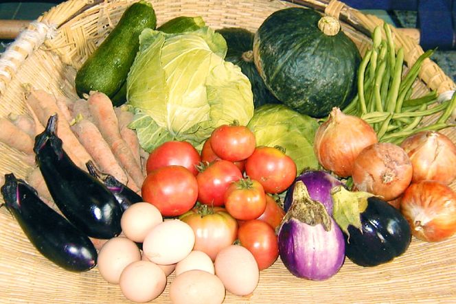 酒蔵レストラン「自然処 玉井屋」お食事券  ランチ券×1枚 [晴雲酒造 埼玉県 小川町 395] 食事券 チケット グルメチケット ランチ 食事 会食 旅 旅行 帰省