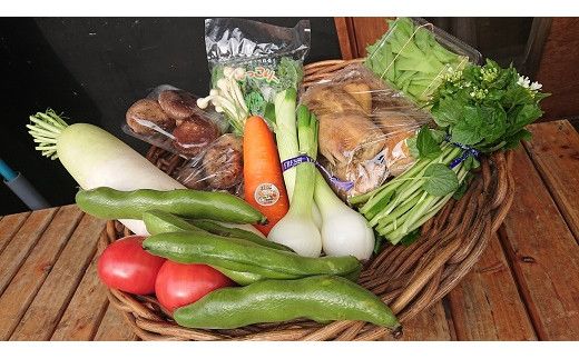 D196 ぶちうま！山口の新鮮お野菜BOX