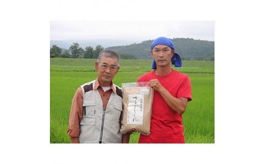 12回 定期便 希少品種米 ササシグレ 玄米 10kg×12回 総計120kg / 長沼 太一 / 宮城県 加美町