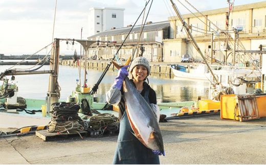 富山の干物専門店が選ぶ、お酒のおとも詰め合わせ 富山 魚津 ハマオカ海の幸