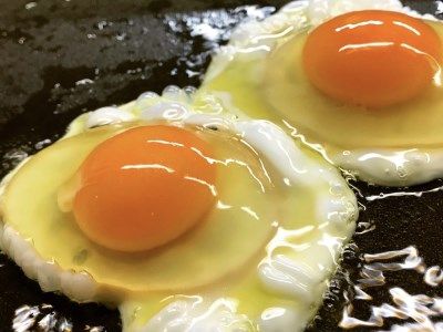 [平飼い卵食べ比べ] 平飼い有精卵あかり・平飼い卵いろは 各15個 合計30個