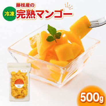 冷凍マンゴー 500g 冷凍 完熟 マンゴー 国産 フルーツ くだもの 果物 ［PT0006-000003］