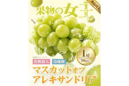 【2025年先行予約】マスカット オブ アレキサンドリア 1房(1房700g以上) 化粧箱入 株式会社山博(中本青果)《2025年7月中旬-7月下旬頃出荷》岡山県 浅口市 ぶどう マスカット 大粒 フルーツ 秀品 旬 果物 贈り物 ギフト 国産 岡山県産 送料無料---124_c248_7c7g_23_22000_700g---