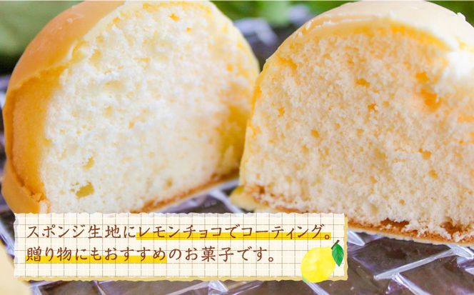 【老舗の菓子屋 鹿の子】レモンケーキ 15個《築上町》【有限会社　御菓子司　鹿の子】 [ABAC001]