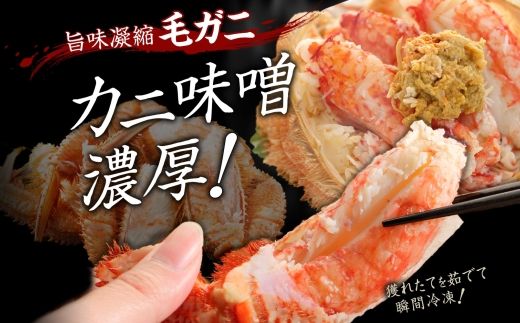 3335. 毛蟹 2尾 計1.2kg前後 食べ方ガイド・専用ハサミ付 カニ かに 蟹 海鮮 ボイル 送料無料 北海道 弟子屈町