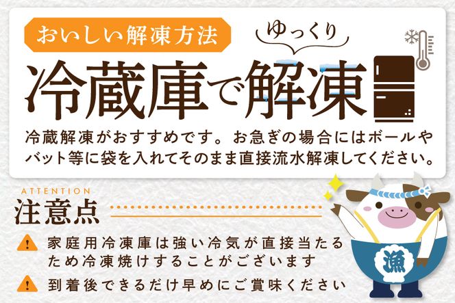 【ホタテ禁輸措置生産地応援緊急支援品】ランキング1位獲得！プレミアム！肉厚濃厚 ほたて １kg 北海道 野付産（20～30粒） 水産事業者支援 MS000MB00