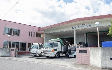 CA023 特別栽培米ながさきにこまる[ 白米 精米 ごはん ご飯 こめ おこめ もちもち おにぎり 粘り おいしい 長崎県産 長崎県産米 長崎にこまる 長崎県 島原市 ]