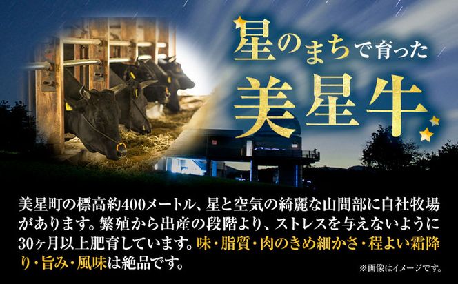 牛肉 サーロインステーキ 肉美星牛 約400g 200g × 2枚 美星ミート《30日以内に発送予定(土日祝除く)》岡山県 浅口市 肉 和牛 国産 牛肉 サーロイン ステーキ 400g 美星和牛 冷凍 送料無料---124_f34_30d_23_22000_400---