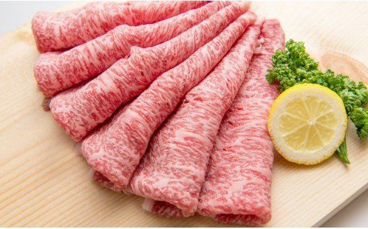 yꌧz800guꋍv[XԂԗpy`hł͂!zF-131