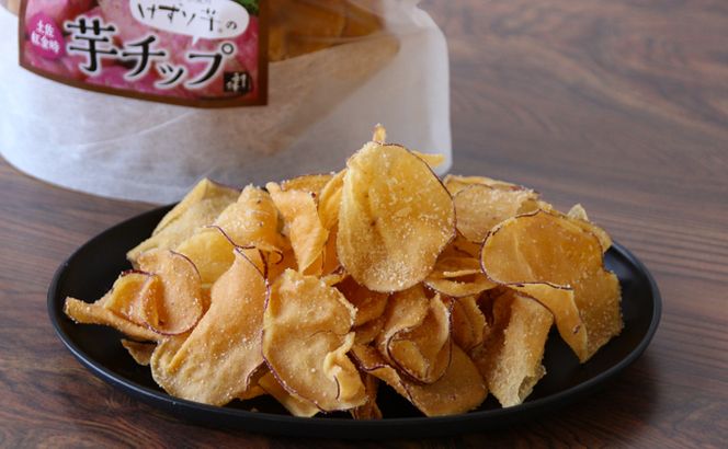 利休　とんとん紙相撲と生けんぴのセット