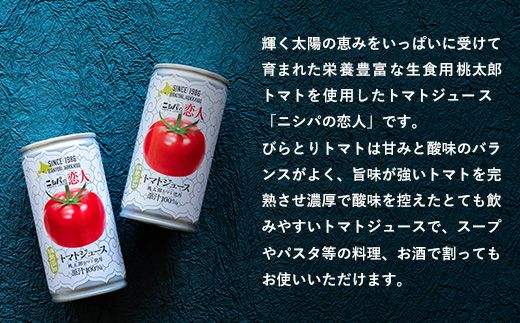 【定期便】完熟生食用トマトの旨味たっぷり！“贅沢濃厚”「ニシパの恋人」トマトジュース有塩 60缶 隔月×年６回 ふるさと納税 人気 おすすめ ランキング トマトジュース トマト とまと 健康 美容 飲みやすい 北海道 平取町 送料無料 BRTH007