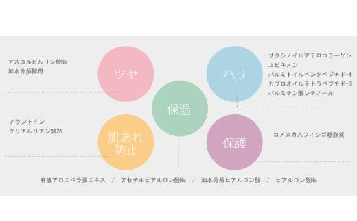 R6-340．【3回定期便】あろえの森 浸透保湿化粧水 300ml（2個セット）