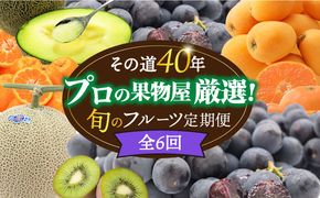 【年6回 偶数月コース】＜2026年2月～初回発送＞果物屋が選ぶ旬のフルーツ定期便 ハウスびわ メロン ぶどう (巨峰) みかん など / 南島原市 / 贅沢宝庫 [SDZ022]