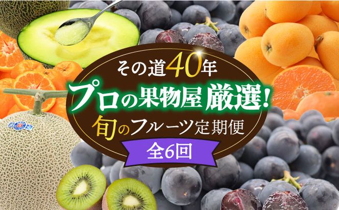 【年6回 偶数月コース】果物屋が選ぶ旬のフルーツ定期便 ハウスびわ メロン ぶどう (巨峰) みかん など / 南島原市 / 贅沢宝庫 [SDZ022]