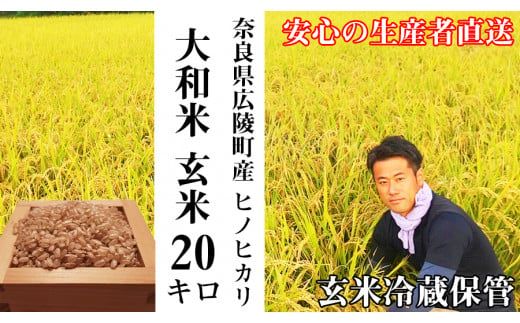 【令和5年度産】色彩選別加工済大和米 奈良県広陵町ヒノヒカリ玄米20kg// お米 ひのひかり お米 広陵町