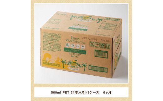 【6ヶ月 定期便 】サンA 宮崎育ちのレモネードPET （500ml×24本）【 全6回 飲料 栄養機能食品 レモン 檸檬 マルチビタミン配合 PET セット ジュース 長期保存 備蓄 送料無料】 [F3003-t6]