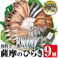 鹿児島県阿久根市産干物！新鮮さ一番のり薩摩のひらきセット(9種)  阿久根市 国産 九州産 魚 魚介類 ひもの 乾物 アジ 鯵 タイ 鯛 サバ 鯖 きびなご かます いわし 味付 おかず お弁当 詰合せ 詰め合わせ【川本商店】a-26-11-z