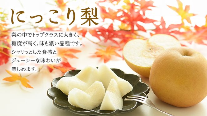 【 JA 北つくば 】 筑西ブランド 認証品 にっこり 5kg 2026年産 先行予約 梨 果物 フルーツ なし ナシ 和梨 [AE030ci]