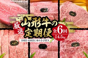 厳選山形牛の定期便　全6回 総量約4.5kg 晴天畑提供　hi004-hi026-021r