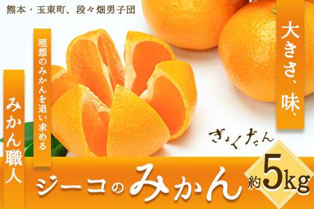 ぎょくだんジーコのみかん 約5kg フルーツ 秋 旬 熊本県玉名郡玉東町『熊本・玉東、玉東町段々畑男子団。』みかん ぷらっとぎょくとう[11月上旬-12月中旬出荷(土日祝除く)]---sg_jikomikan_ae11_24_14000_5kg---