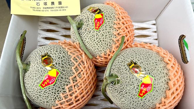 筑波レッドメロン 1箱 3玉 ～ 4玉 入り（ 約 5kg ～ 6kg ）【2026年6月上旬以降発送】 赤肉　数量限定 メロン レッド  赤肉 甘い 期間限定 産地直送 果物 フルーツ [BU002ya]