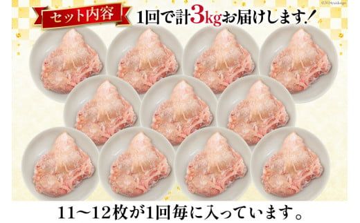 定期便 肉 鶏肉 6回定期便 若鶏もも身11~12パック 計3kg [九州児湯フーズ 宮崎県 美郷町 31aj0034] 冷凍 小分け 個包装 鶏もも肉 もも肉 モモ肉