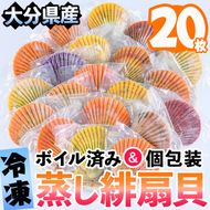 冷凍 蒸し 緋扇貝 ひおうぎがい (20枚) ヒオウギ貝 貝 魚介類 海鮮 個包装 ボイル済み 冷凍 大分県 佐伯市【EL06】【(株)蒲江創生協会】