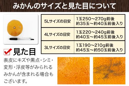 みかん 訳あり 大粒 ミカン 10kg 10キロ 熊本 ちょっと 訳あり 傷 5L～3Lサイズ 約10kg たっぷり 熊本県産 熊本県 期間限定 フルーツ 旬 柑橘 ご家庭用 長洲町 大粒《2025年1月中旬-2月末頃より出荷予定》---fn_notbmkn_bc1_25_13000_10kg---